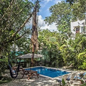 Mango *** Tulum